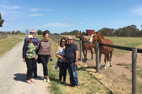 Champion Racehorse Tour With Beer And Wine Tasting - New South Wales Tourism  10