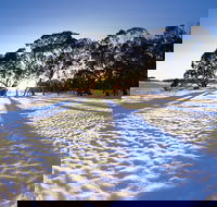 Private Lake Mountain Snow Tour from Melbourne - New South Wales Tourism 
