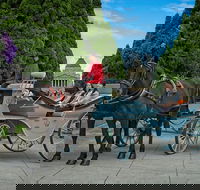 Melbourne Horse Drawn Carriage Extended Garden Tour - New South Wales Tourism 