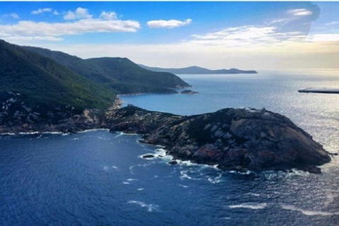 Wilsons Promontory Walking And Sightseeing Tour From Phillip Island - New South Wales Tourism  0
