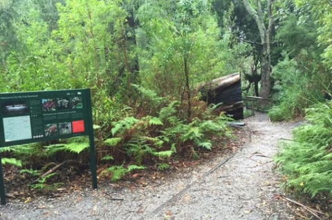 Wilsons Promontory Walking And Sightseeing Tour From Phillip Island - New South Wales Tourism  1