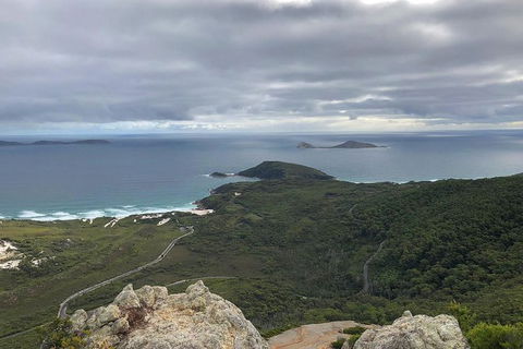 Wilsons Promontory Walking And Sightseeing Tour From Phillip Island - New South Wales Tourism  7