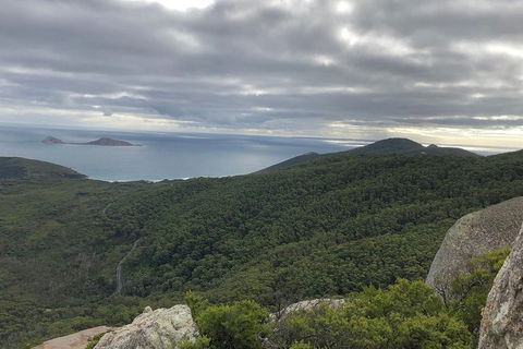 Wilsons Promontory Walking And Sightseeing Tour From Phillip Island - New South Wales Tourism  5