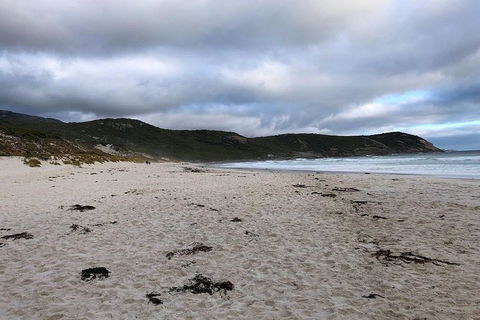 Wilsons Promontory Walking And Sightseeing Tour From Phillip Island - New South Wales Tourism  11