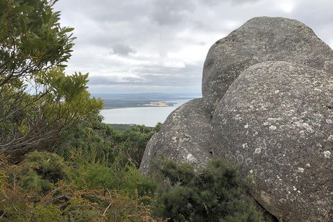 Wilsons Promontory Walking And Sightseeing Tour From Phillip Island - New South Wales Tourism  15