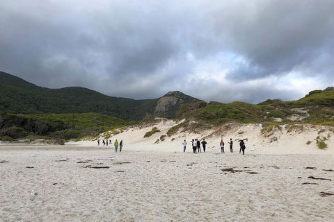 Wilsons Promontory Walking And Sightseeing Tour From Phillip Island - New South Wales Tourism  4