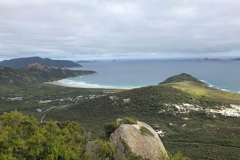 Wilsons Promontory Walking And Sightseeing Tour From Phillip Island - New South Wales Tourism  12