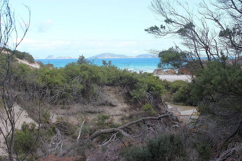 Wilsons Promontory Walking And Sightseeing Tour From Phillip Island - New South Wales Tourism  14