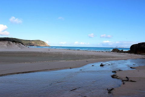 Wilsons Promontory Walking And Sightseeing Tour From Phillip Island - New South Wales Tourism  3