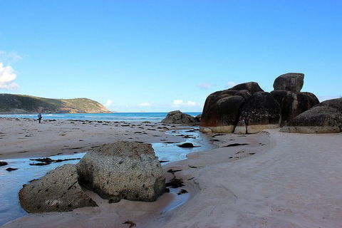 Wilsons Promontory Walking And Sightseeing Tour From Phillip Island - New South Wales Tourism  10