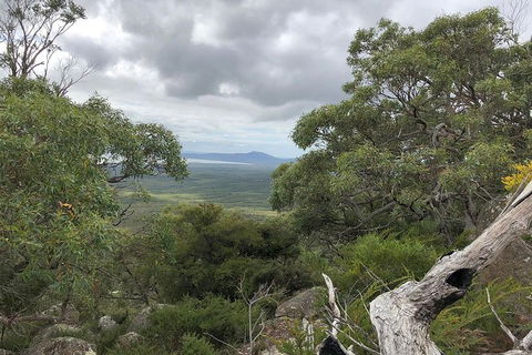 Wilsons Promontory Walking And Sightseeing Tour From Phillip Island - New South Wales Tourism  13