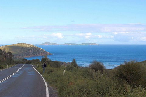 Wilsons Promontory Walking And Sightseeing Tour From Phillip Island - New South Wales Tourism  2