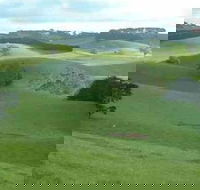 Day Tour of Phillip Island  Surrounding Region - New South Wales Tourism 