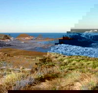 Phillip Island Walking  Bird Watching Tour - New South Wales Tourism 