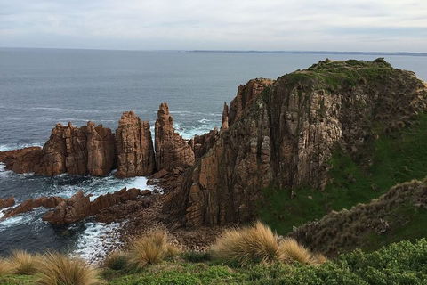 Phillip Island Walking & Bird Watching Tour - New South Wales Tourism  8