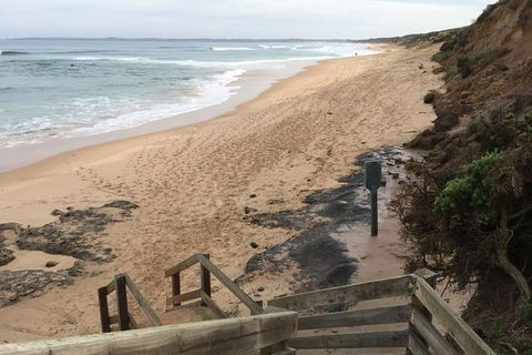 Phillip Island Walking & Bird Watching Tour - New South Wales Tourism  3