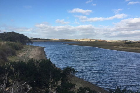 Phillip Island Walking & Bird Watching Tour - New South Wales Tourism  7
