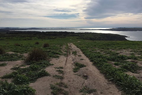 Phillip Island Walking & Bird Watching Tour - New South Wales Tourism  4