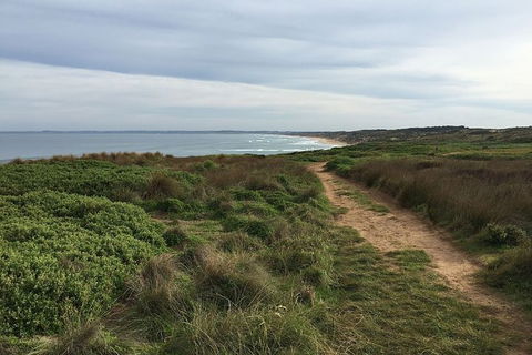 Phillip Island Walking & Bird Watching Tour - New South Wales Tourism  5