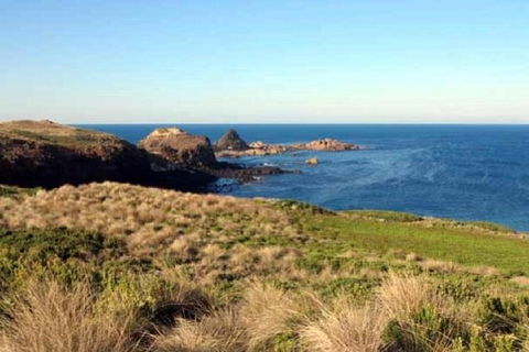 Phillip Island Walking & Bird Watching Tour - New South Wales Tourism  9