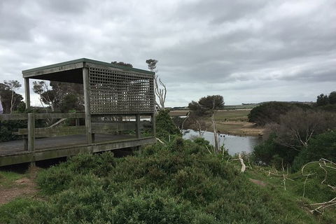 Phillip Island Walking & Bird Watching Tour - New South Wales Tourism  2