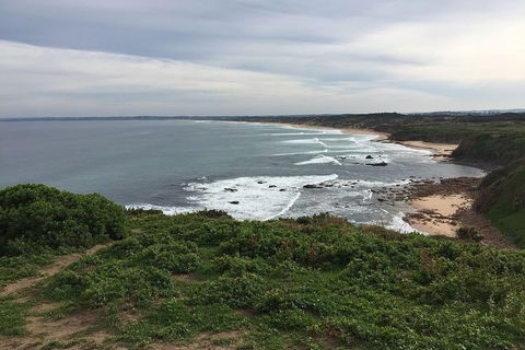 Phillip Island Walking & Bird Watching Tour - New South Wales Tourism  1