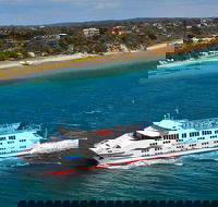 2-Day Great Ocean Road and Phillip Island Tour with Penguin Parade - New South Wales Tourism 