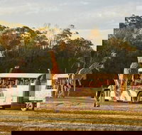 Sunset Safari at Werribee Open Range Zoo - New South Wales Tourism 