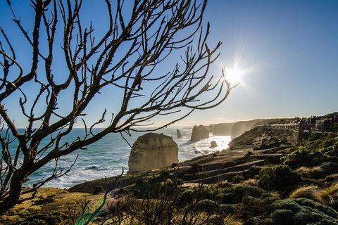 Great Ocean Road Tour With Instagram Sunset Views At 12 Apostles From Melbourne - New South Wales Tourism  8