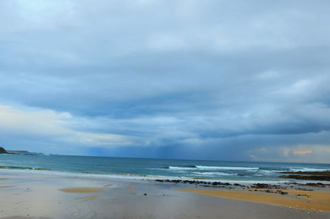Phillip Island Penguin Parade Day Trip With Koala Park - New South Wales Tourism  3