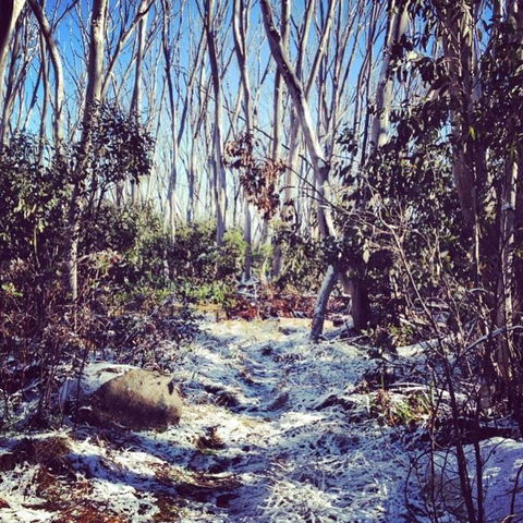 Melbourne Snow Trip To Lake Mountain Resort With Chocolates And Waterfalls - New South Wales Tourism  12