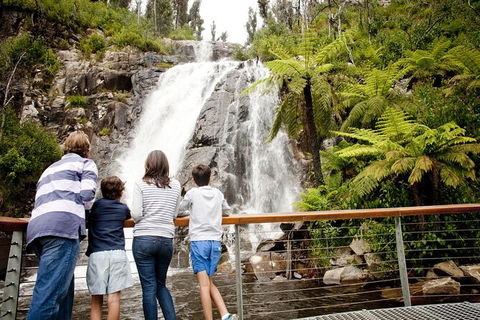 Melbourne Snow Trip To Lake Mountain Resort With Chocolates And Waterfalls - New South Wales Tourism  22