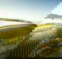 Yarra Valley Bus Charter - New South Wales Tourism 