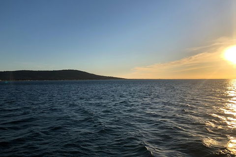 Mornington Peninsula Tour Inc Chairlift,beach Boxes,lunch,choc Tasting And More - New South Wales Tourism  9