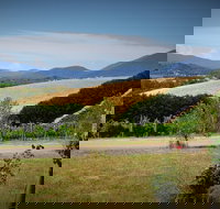 Romantic Private Yarra Valley Day Trip for Two from Melbourne - New South Wales Tourism 