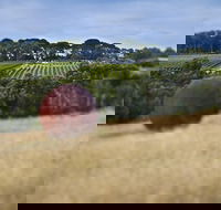 Estate to Plate Montalto Vineyard Gourmet Lunch and Wine-Tasting Tour - New South Wales Tourism 