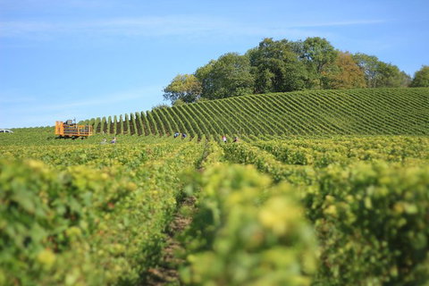 Customized Private Winery Day Tour In Yarra Valley At Your Own Choices - New South Wales Tourism  1