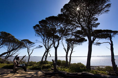 2 Day Exclusively Private Tour Of Phillip Island & The Penguin Parade - New South Wales Tourism  9