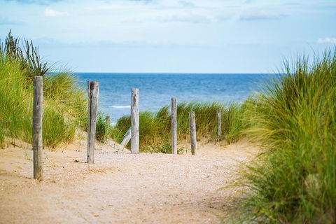 2 Day Exclusively Private Tour Of Phillip Island & The Penguin Parade - New South Wales Tourism  3