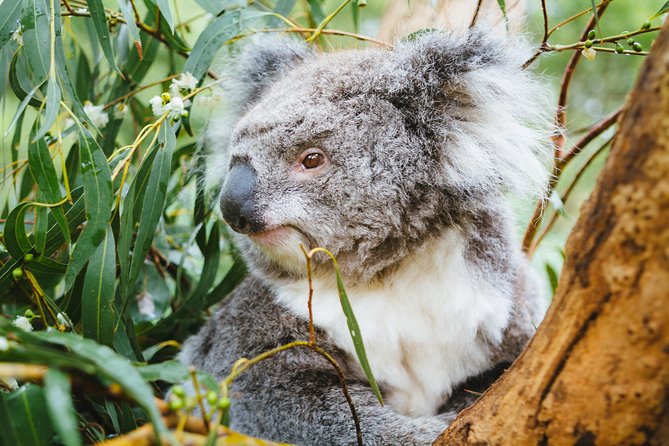  New South Wales Tourism 