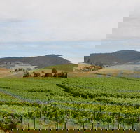 Private Tour to Mount Dandenong and Yarra Valley - New South Wales Tourism 