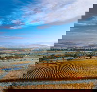 Half Day Yarra Valley Winery Day Trip from Melbourne - New South Wales Tourism 