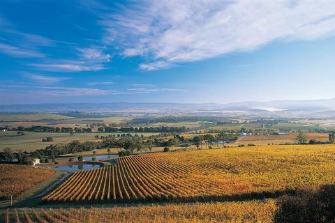 Half Day Yarra Valley Winery Day Trip From Melbourne - New South Wales Tourism  2