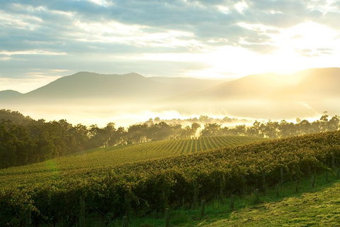 Yarra Valley Private Tour Including Healesville Sanctuary And Wineries - New South Wales Tourism  0