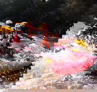 Whitewater Sports rafting on the Yarra river - New South Wales Tourism 