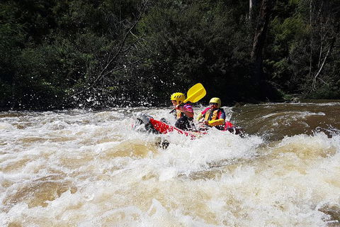 Whitewater Sports Rafting On The Yarra River - New South Wales Tourism  5