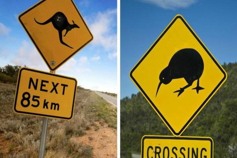 Aroha Tangata Australia And New Zealand 20 Day - New South Wales Tourism  0