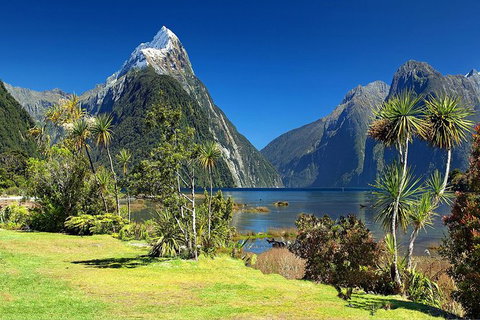 Aroha Tangata Australia And New Zealand 20 Day - New South Wales Tourism  1