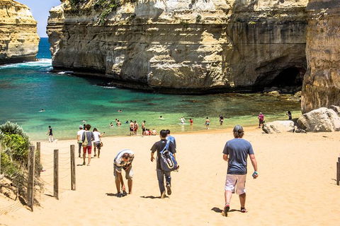 Small-Group Great Ocean Road Classic Day Tour From Melbourne - New South Wales Tourism  6