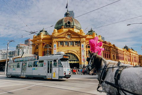 A Full Day In Melbourne With A Local: Private & Personalized - New South Wales Tourism  9